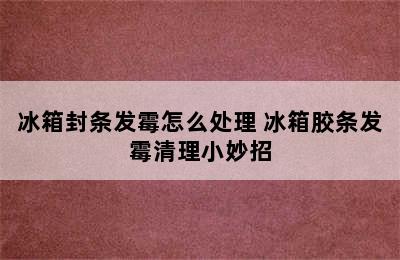 冰箱封条发霉怎么处理 冰箱胶条发霉清理小妙招